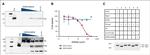 Complement C3b Antibody in Flow Cytometry (Flow)