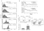 CD274 (PD-L1, B7-H1) Antibody in Flow Cytometry (Flow)