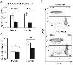 TCR beta Antibody in Flow Cytometry (Flow)