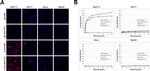 CEA Antibody in Immunocytochemistry (ICC/IF)