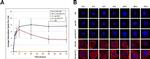 CEA Antibody in Immunocytochemistry (ICC/IF)