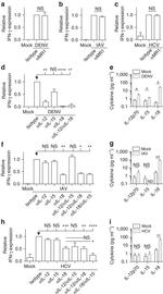 CD3 Antibody in Flow Cytometry (Flow)