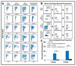 CD105 (Endoglin) Antibody in Flow Cytometry (Flow)