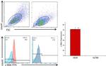 c-Met Antibody in Flow Cytometry (Flow)