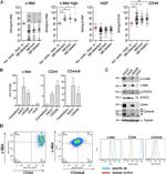 c-Met Antibody in Flow Cytometry (Flow)