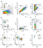 CD8a Antibody in Flow Cytometry (Flow)