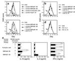 IL-10 Antibody in Neutralization (Neu)