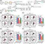 CD8a Antibody in Flow Cytometry (Flow)