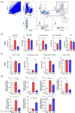 CD8a Antibody in Flow Cytometry (Flow)