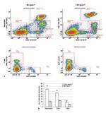 CD8a Antibody in Flow Cytometry (Flow)