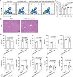 CD8a Antibody in Flow Cytometry (Flow)