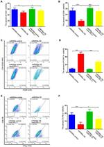 CD8a Antibody in Flow Cytometry (Flow)