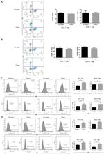 CD8a Antibody in Flow Cytometry (Flow)