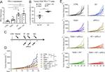 CD8a Antibody in Flow Cytometry (Flow)