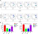 CD8a Antibody in Flow Cytometry (Flow)