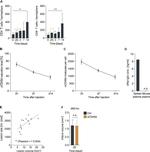 CD8a Antibody in Flow Cytometry (Flow)