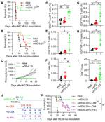 CD8a Antibody in Flow Cytometry (Flow)