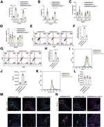 CD8a Antibody in Flow Cytometry (Flow)