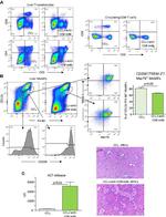 CD8a Antibody in Flow Cytometry (Flow)