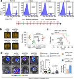 CD8a Antibody in Flow Cytometry (Flow)