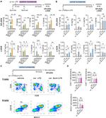 CD8a Antibody in Flow Cytometry (Flow)