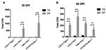 CD223 (LAG-3) Antibody in Flow Cytometry (Flow)