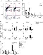 CD8a Antibody in Flow Cytometry (Flow)