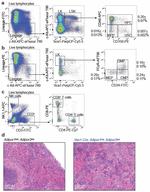 CD8a Antibody in Flow Cytometry (Flow)