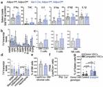 CD8a Antibody in Flow Cytometry (Flow)