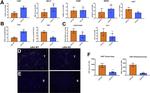 CD8a Antibody in Flow Cytometry (Flow)