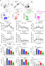 CD8a Antibody in Flow Cytometry (Flow)