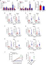 CD8a Antibody in Flow Cytometry (Flow)