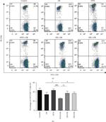 CD8a Antibody in Flow Cytometry (Flow)