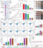 CD8a Antibody in Flow Cytometry (Flow)