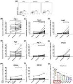 CD8a Antibody in Flow Cytometry (Flow)