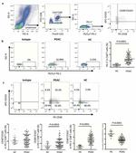 CD8a Antibody in Flow Cytometry (Flow)