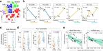 CD8a Antibody in Flow Cytometry (Flow)