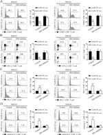 CD8a Antibody in Flow Cytometry (Flow)