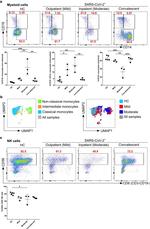 CD8a Antibody in Flow Cytometry (Flow)