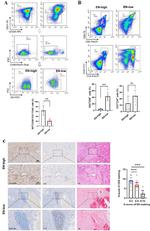 CD8a Antibody in Flow Cytometry (Flow)