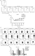 CD8a Antibody in Flow Cytometry (Flow)