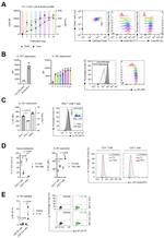 CD8a Antibody in Flow Cytometry (Flow)