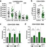 CD8a Antibody in Flow Cytometry (Flow)