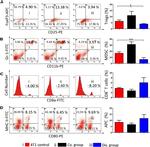 MHC Class II (I-A/I-E) Antibody in Flow Cytometry (Flow)