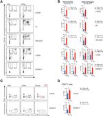 Ly-6G/Ly-6C Antibody in Flow Cytometry (Flow)