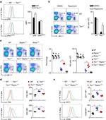 NK1.1 Antibody in Flow Cytometry (Flow)