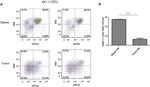 CD49b (Integrin alpha 2) Antibody in Flow Cytometry (Flow)