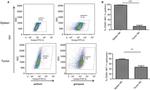 CD3 Antibody in Flow Cytometry (Flow)