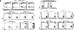 CD25 Antibody in Flow Cytometry (Flow)