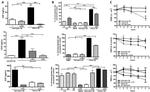 VEGF-165 Antibody in Neutralization (Neu)